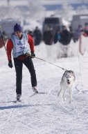 Lenk 2013